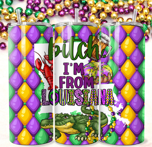 I’m from Louisiana 20 oz Tumbler | Insulated Stainless Steel Cup | Festive Carnival Drinkware